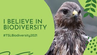 'I believe in Biodiversity' #TSLBiodiversity2021 Finalist No.3