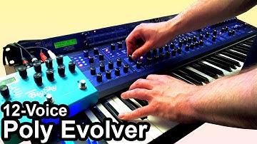 DSI POLY EVOLVER (12 Voices) + Strymon BIG SKY - Ambient Drone Soundscape 【SYNTH DEMO】