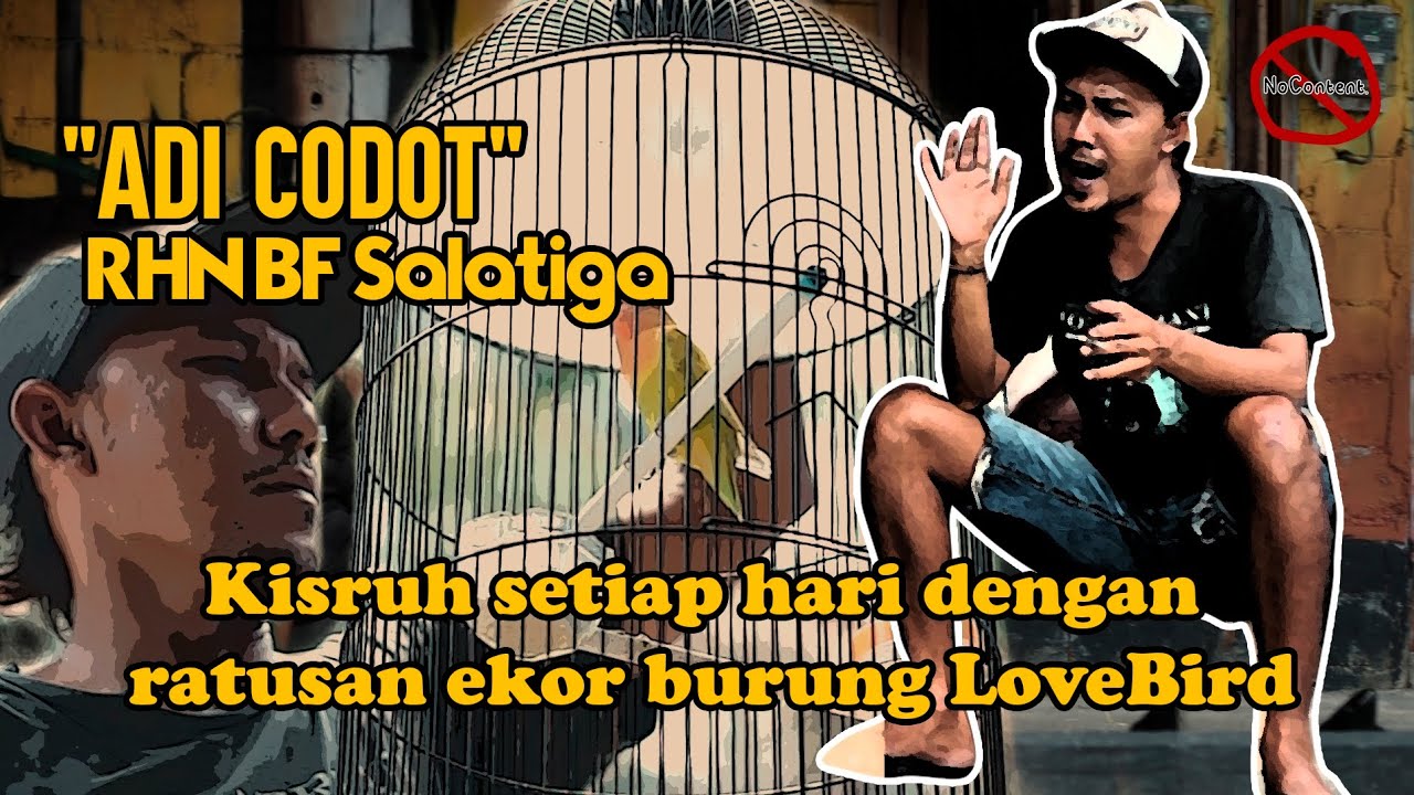 Kisah dibalik sosok Joki fenomenal Adi Codot RHN Salatiga ‼