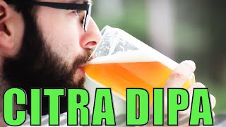Brewing a HAZY DOUBLE IPA with CITRA | Grain to Glass | Classic Styles