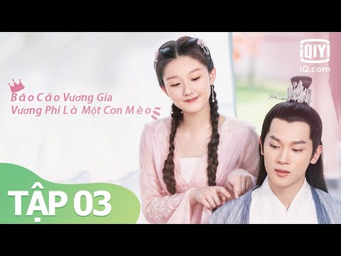 Full | Phim Cổ Trang Ngôn Tình | Báo Cáo Vương Gia Vương Phi Là Một Con Mèo Tập 03 | iQiyi Vietnam