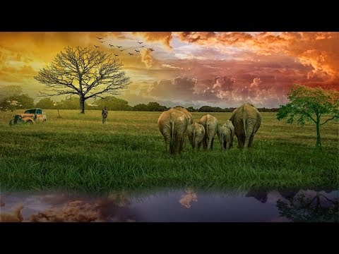 Digital Photo Manipulation | Photoshop Tutorial