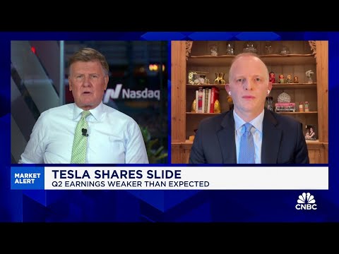 The key for Tesla is their ability to bring down cost, says Neuberger Berman's Dan Flax Episode cover