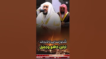 فأصابها إعصار فيه نار فاحترقت || تلاوة خاشعة قمة في الجمال لفضيلة الشيخ د. بندر بليلة