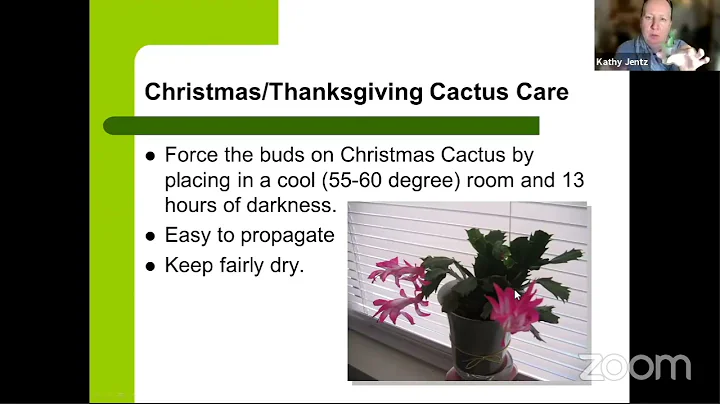 Caring for Seasonal Plants and Holiday Gifts with Kathy Jentz