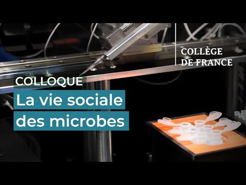 Journée François Jacob : La vie sociale des microbes (2) - Hugues de Thé (2023-2024)