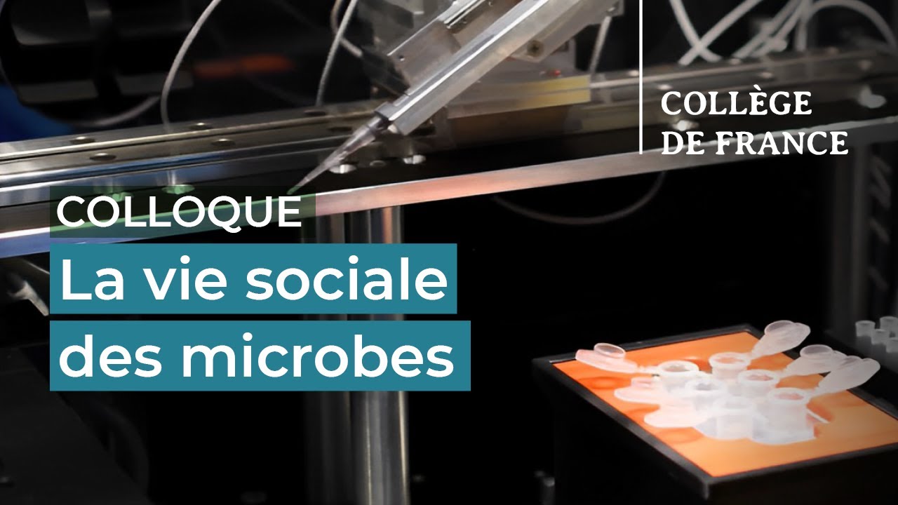 Journée François Jacob : La vie sociale des microbes (2) - Hugues de Thé (2023-2024)