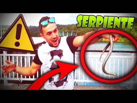 HE CAPTURADO UNA SERPIENTE PESCANDO!! reimon