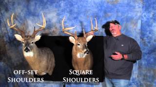 Mount Options