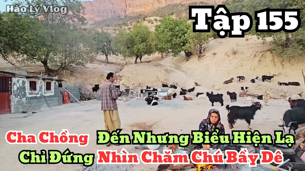 | HAWA - Tập 155 | Cha Chồng Có Biểu Hiện Lạ, Không Nói Chuyện Với Hawa Như Mọi Khi
