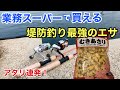「鱒レンジャー」と「業スーのアサリ」を使った堤防釣りが楽しすぎた！