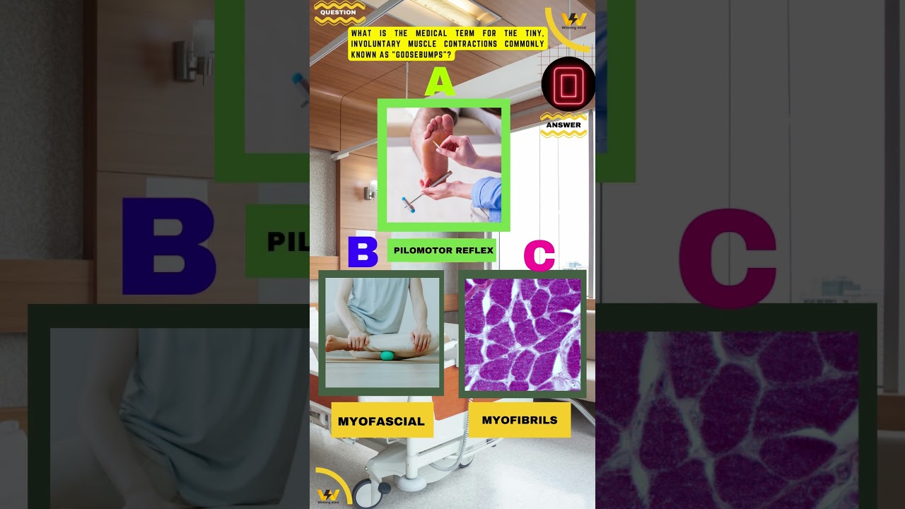 health quiz Mind test Daily Knowledge - Quiz 