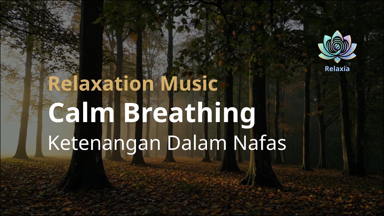 1 Hour Relaxation Music: Stress Relief & Calm Breathing || Musik Relaksasi: Ketenangan Dalam Nafas