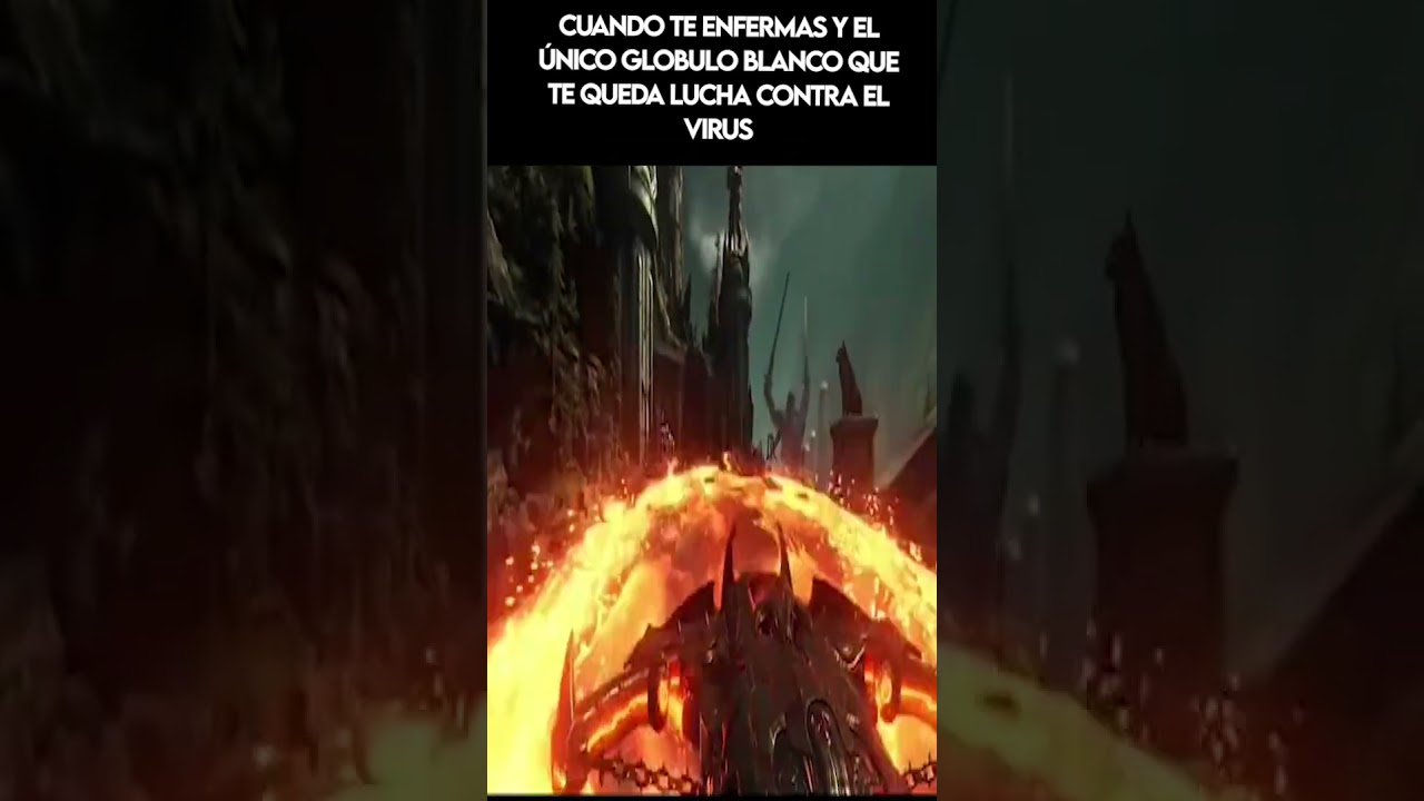 Mi único glóbulo blanco luchando  