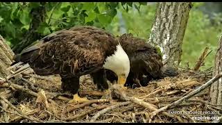 Decorah Hatchery Eagles Breakfast 05 29 2023