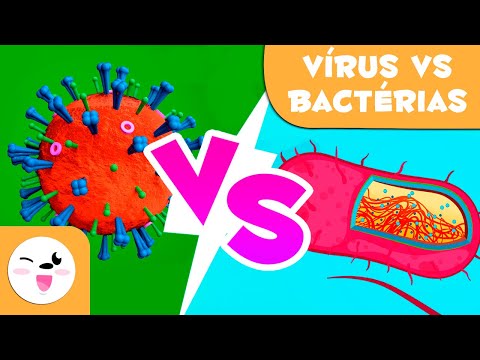 Vírus vs. bactérias - Qual é a diferença?