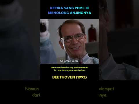 (P3) Menolong anjing