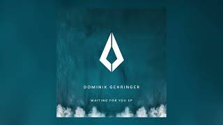 Dominik Gehringer - Sometimes