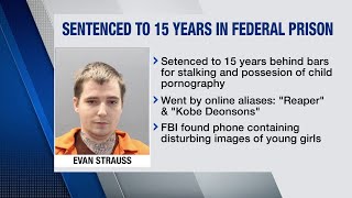 Moneta man to serve 15 years for stalking, possession of child pornography