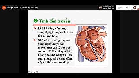 Sinh Lý Tim Mạch P1 - Module 9 Tim Mạch