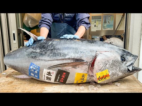 japanese food - TUNA CUTTING SHOW本マグロ解体