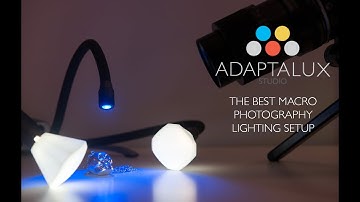 LED Macro Photography Lighting Setup: Adaptalux studio