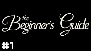 The Beginner
