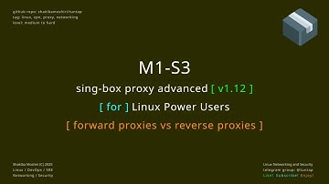 singbox proxy advanced M1 S3 - forward proxies vs reverse proxies