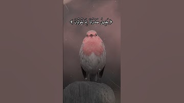 القارئ اسلام صبحي سورة( الحجر)
