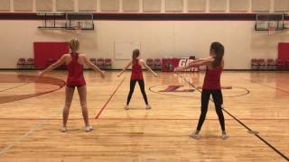 2017 Tryouts Cheer Routine (non-judge's view)