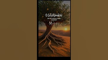القرآن الكريم غذاء الروح ينعش القلب #اكسبلور #لايك #تيك_توك #القرآن_الكريم