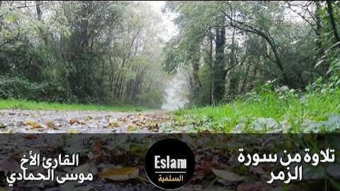 تلاوة من سورة الزمر || للقارئ الأخ موسى الحمادي ||