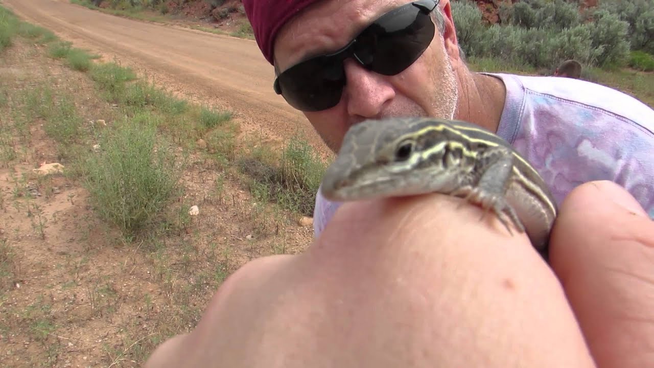adventure academy Colorado Field Herping 2015
