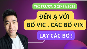 Chứng khoán hôm nay | Nhận định thị trường : Chịu rồi ạ, e chịu rồi không phân tích nổi. VIC VHM VRE