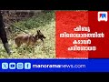 ഷിബുവിന്റെ തിരോധാനം; സുഹൃത്തിന്റെ വീട്ടിൽ കടാവർ പരിശോധന | Pathanamthitta | ShibuMissing