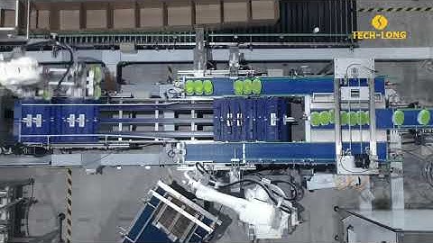 Tech-Long Daily chemical production line （3）