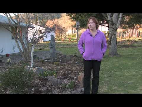 Video: Sajenje krošne grašice: Naučite se uporabljati krošno grašico za naravno dvorišče ali nagnjeno pokrajino