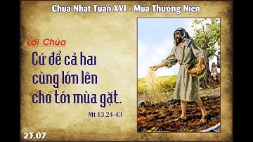 Lm Gioan Maria Vianey Nguyễn Hữu Lợi Chia Sẻ Lời Chúa Ngày Chúa Nhật 16 Mùa Thường Niên Năm A 23=-07