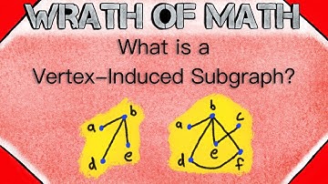 What is a Vertex Induced Subgraph? | Graph Theory