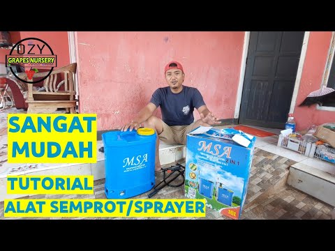 Video: Cara Memasangkan Anggur Dengan Rumpai