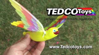 Science Educational Toys Tedco Toys Timmy Bird