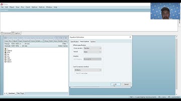 Tutorial EViews 13 ( Regresi Data Panel, Pengujian Model, dan Uji Asumsi Klasik)