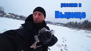 Рыбалка в Вырице. Река Оредеж. Разведка новых мест.