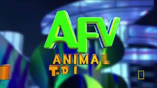 AFV: Animal Edition S02E08 Intro