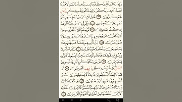 ماهر المعيقلي سورة الأنبياء مكتوبة صفحة 325 مصحف المدينة المنورة جودة عالية