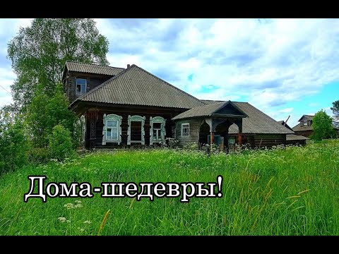 видео: ТЕПЕРЬ В ДОМАХ ЖИВУТ ЛОСИ. ВСТРЕЧА С НИМИ. ЗАБРОШЕННАЯ ДЕРЕВНЯ В ЛЕСУ. ЯРОСЛАВСКАЯ ОБЛАСТЬ.