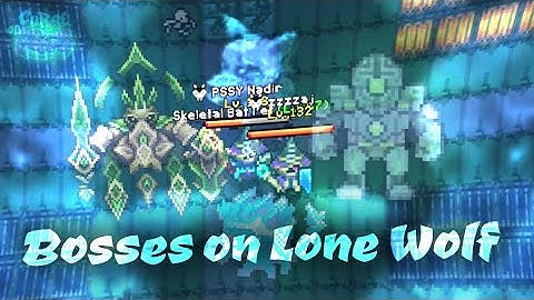 The Lone Wolf experience! ft. Nadir - Curse of Aros