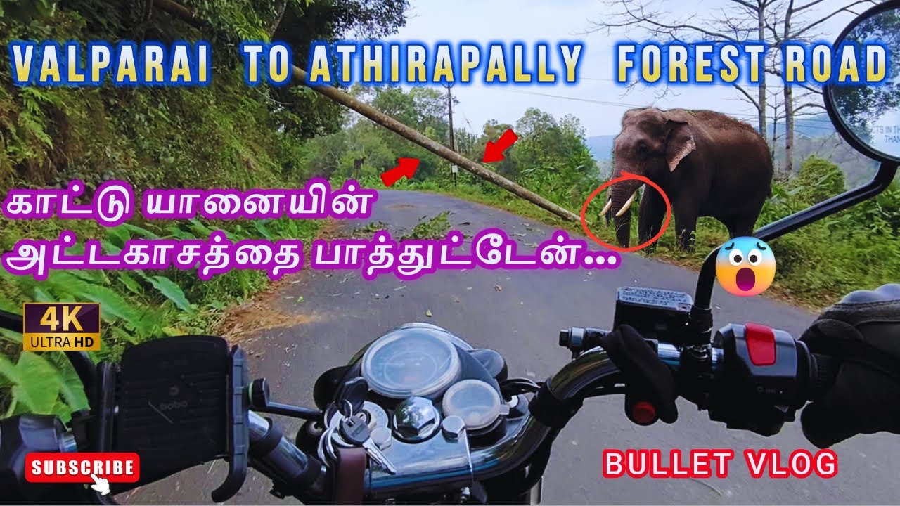 🔥VALPARAI to ATHIRAPALLY FOREST BULLET VLOG👍| காட்டு யானையின் அட்டகாசத்தை நேரில் பாத்துட்டேன்😱#vlog
