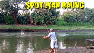 🔴Ini Rahasia nya Mancing Ikan Baung Agar Menang Dari Lawan Mancing.