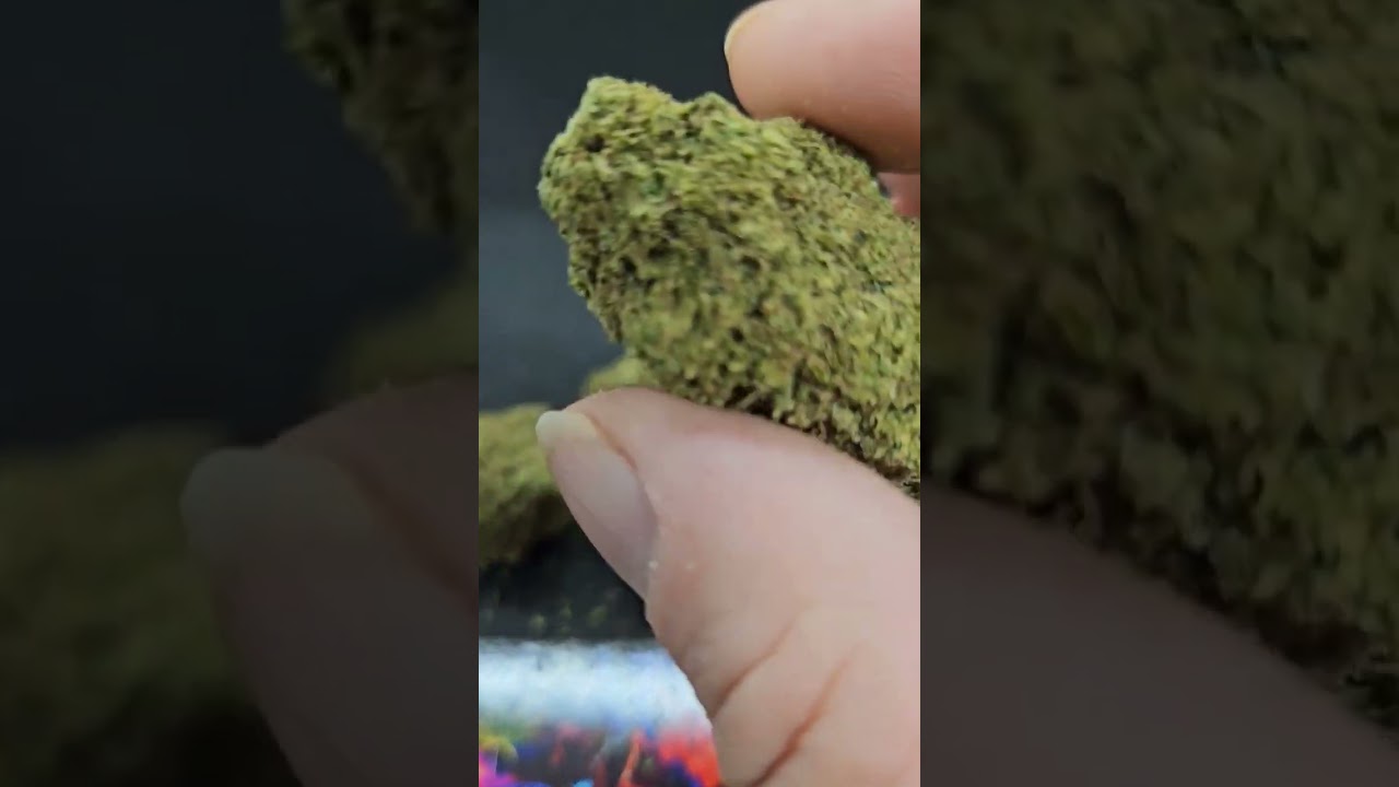 Lemon Haze THCA flower closeups 